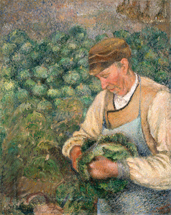 The Gardener—Old Peasant with Cabbage